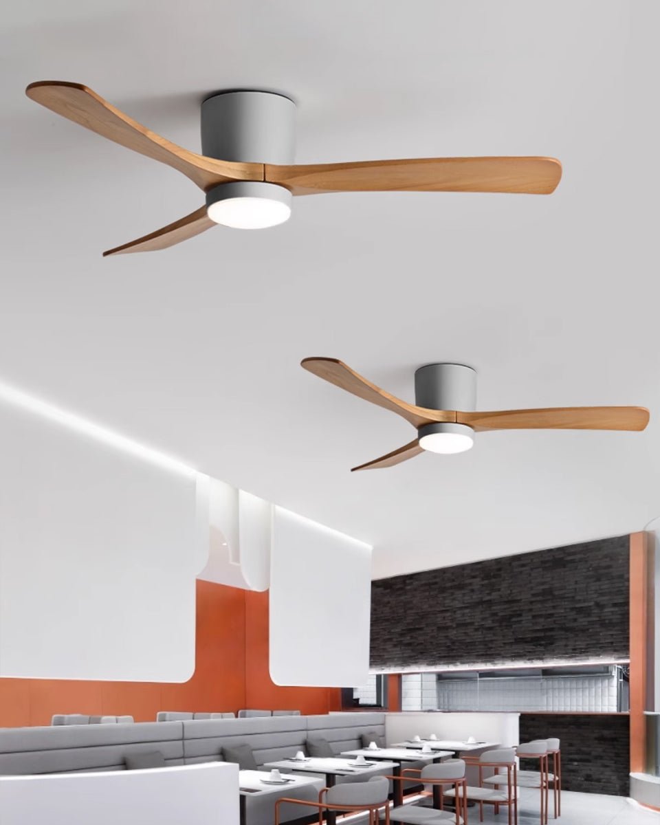 Modern LED Ceiling Fan Light with Remote Control