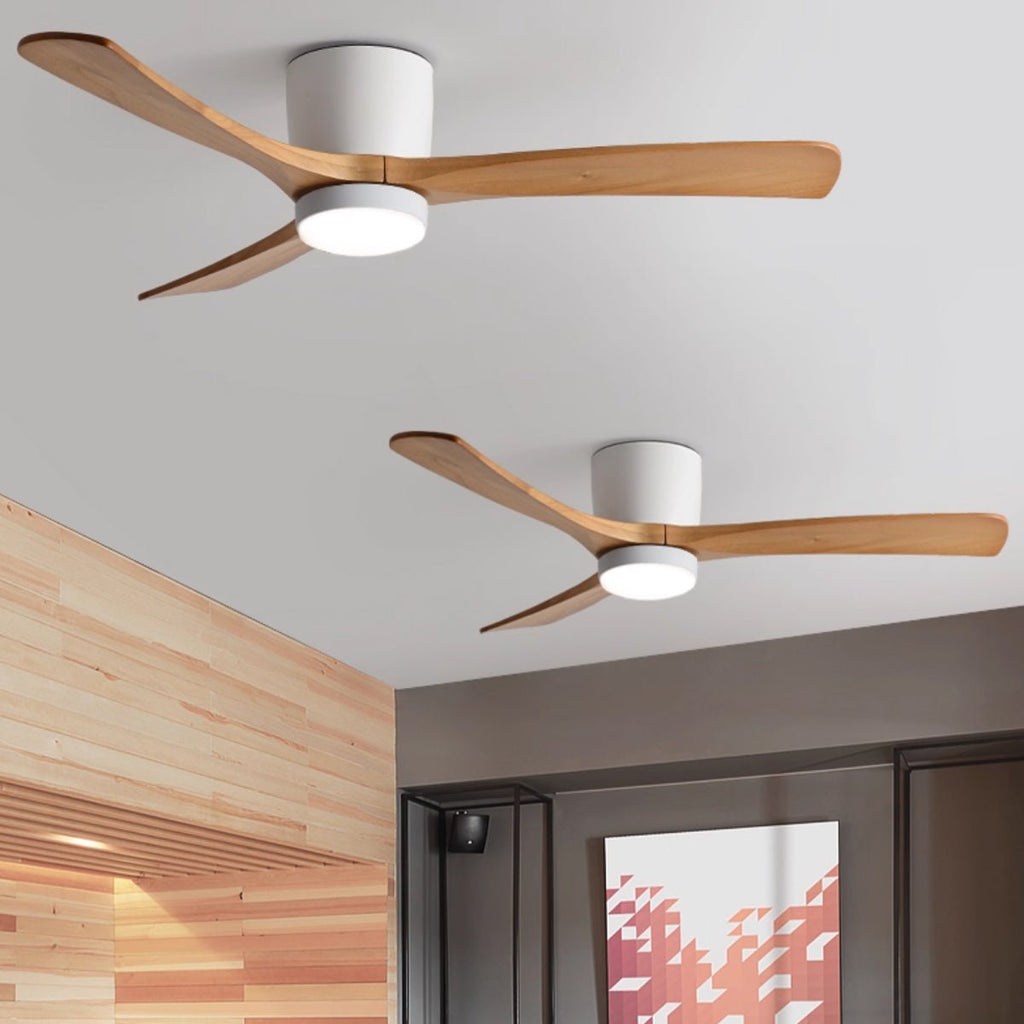 Modern LED Ceiling Fan Light with Remote Control