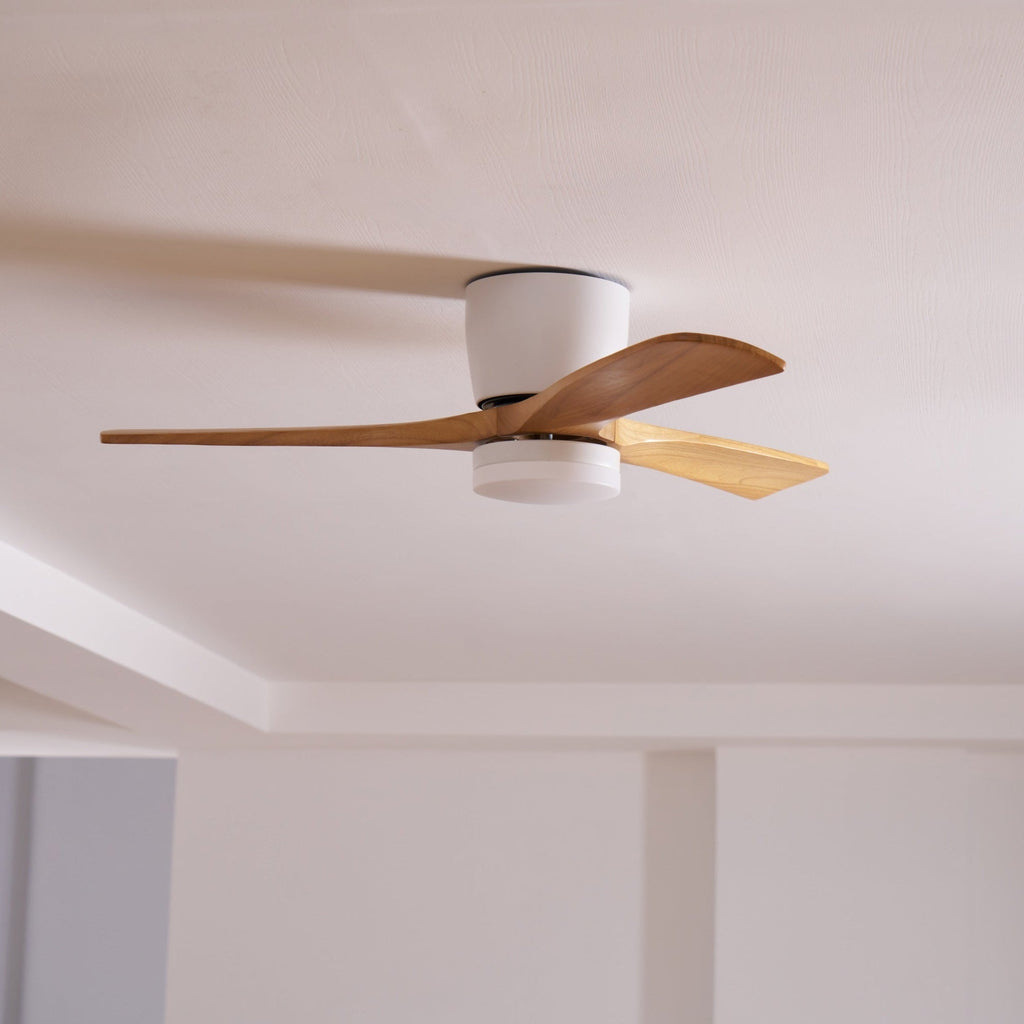 Modern LED Ceiling Fan Light with Remote Control