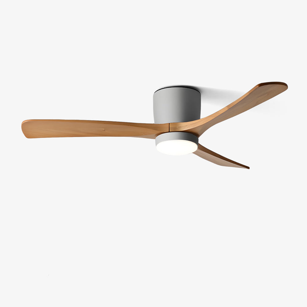 Modern LED Ceiling Fan Light with Remote Control
