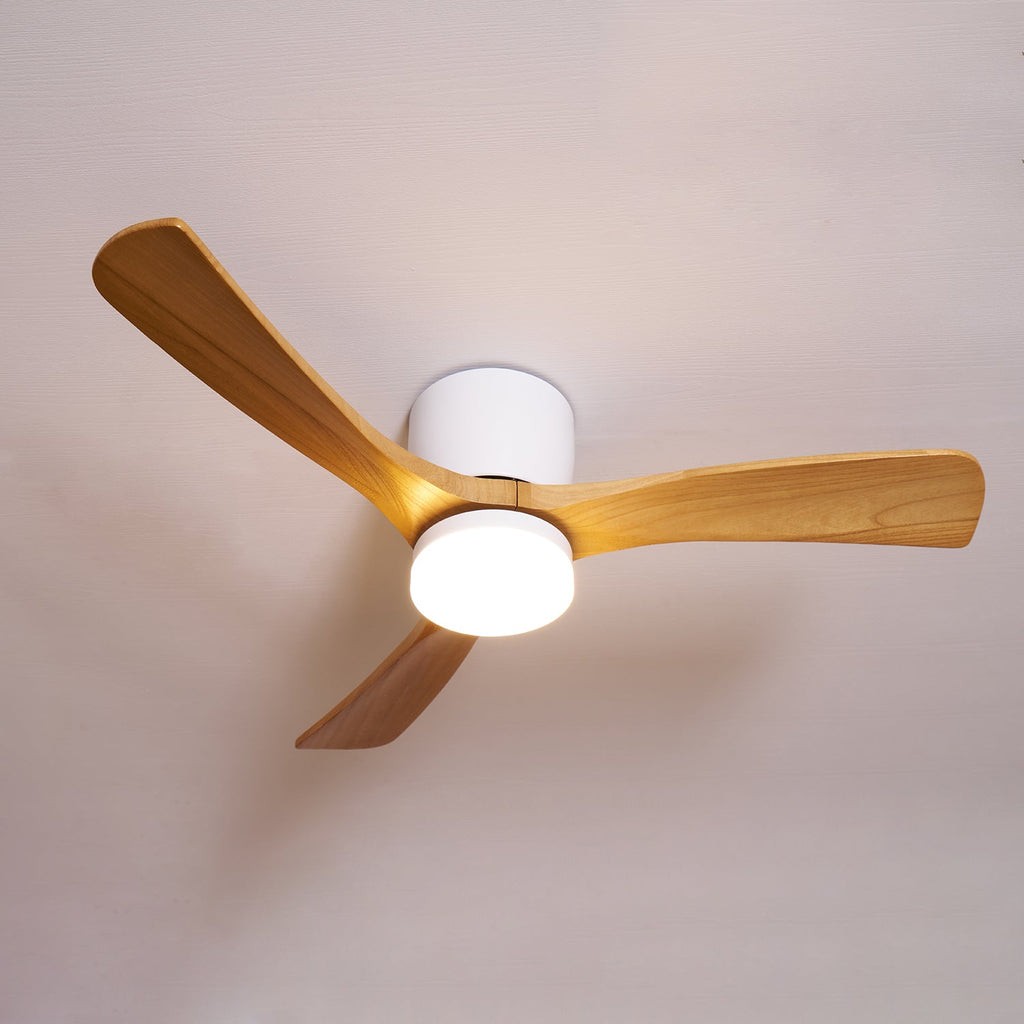 Modern LED Ceiling Fan Light with Remote Control