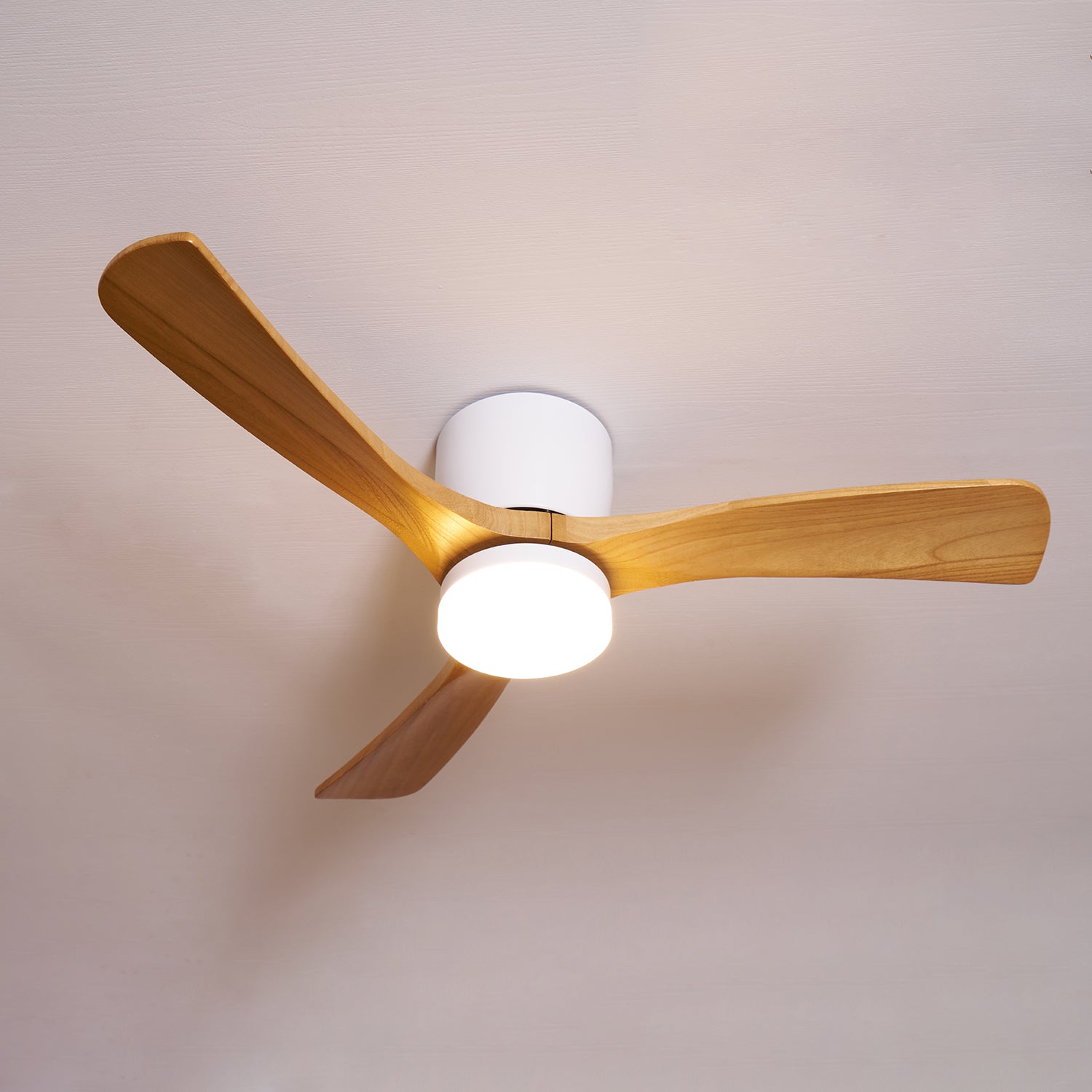 Modern LED Ceiling Fan Light with Remote Control