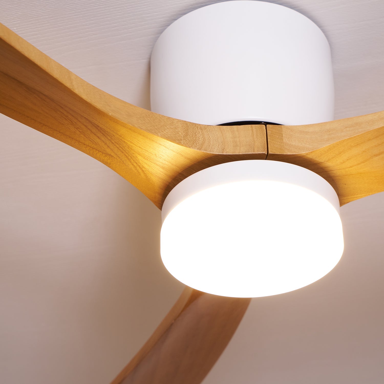 Modern LED Ceiling Fan Light with Remote Control