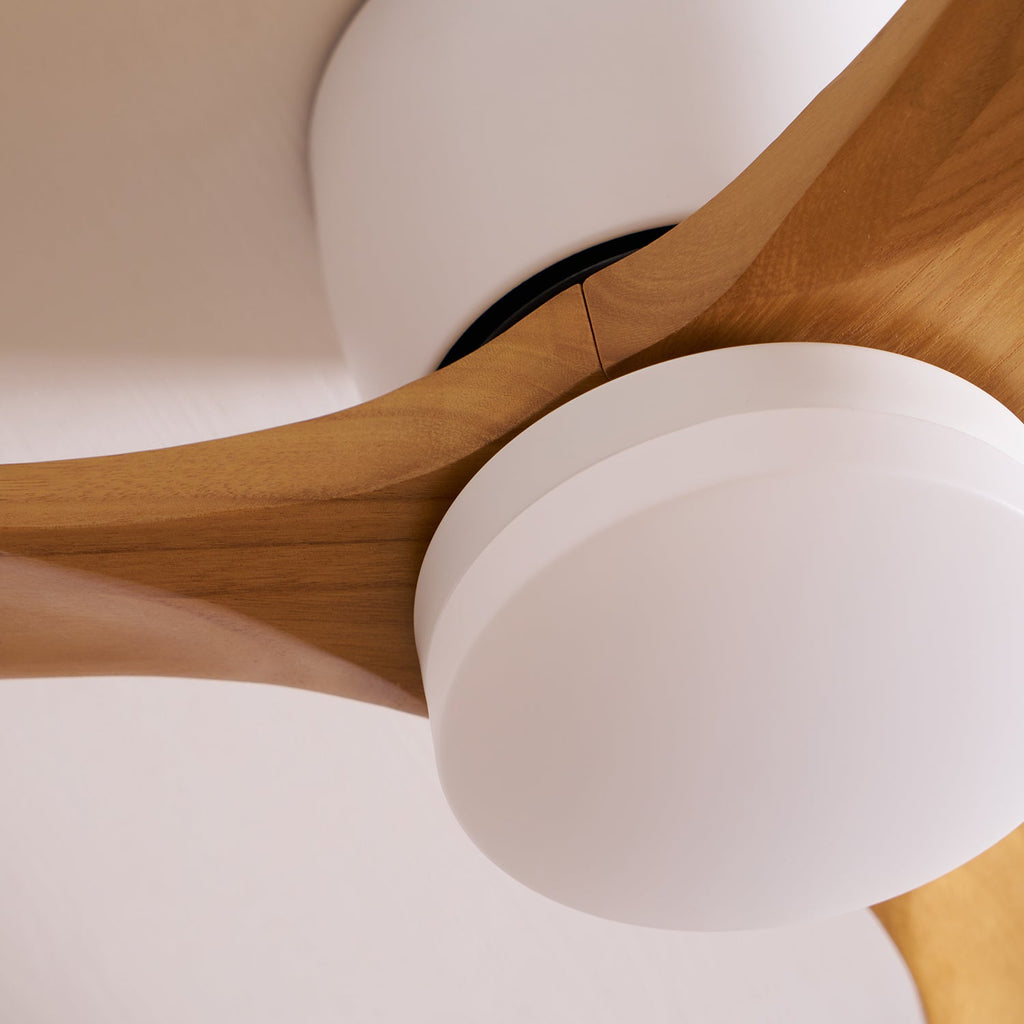 Modern LED Ceiling Fan Light with Remote Control