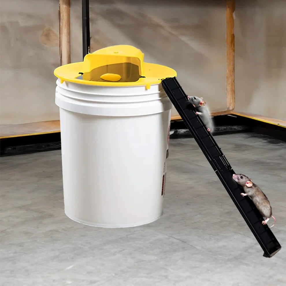 Bucket Mouse Trap with Humane Live Catch Ramp and Automatic Reset for 5-Gallon Pail Glue - Image 1