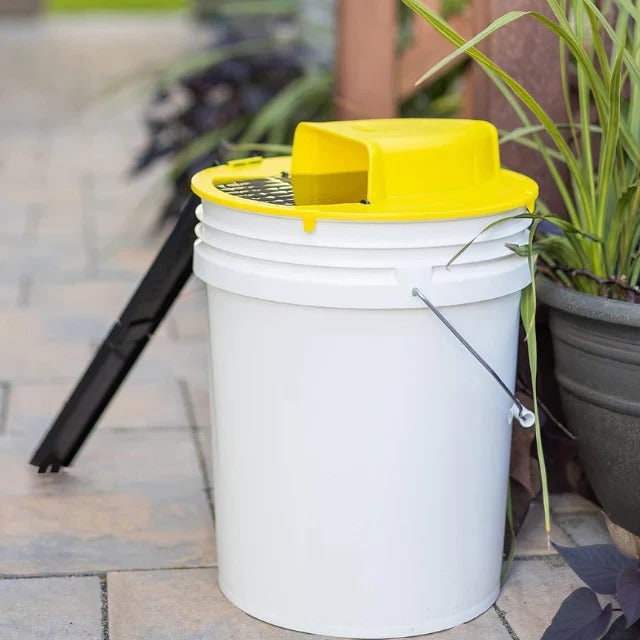 Bucket Mouse Trap with Humane Live Catch Ramp and Automatic Reset for 5-Gallon Pail Glue - Image 2