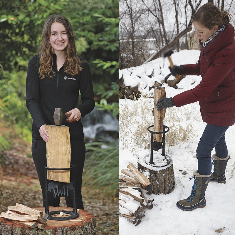 Cast Iron Log Splitter and Kindling with Safety Ring and Mounting Base Electric Wood - Image 5