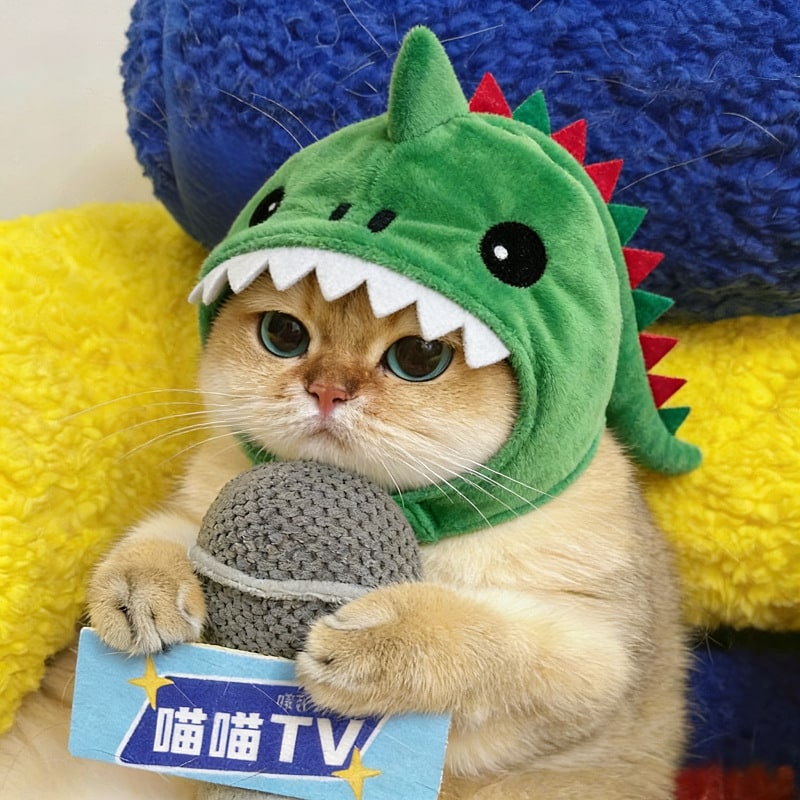 Cat Hat with Plush Dinosaur Costume Design Soft Stuffed Horn In A Drawing - Image 7