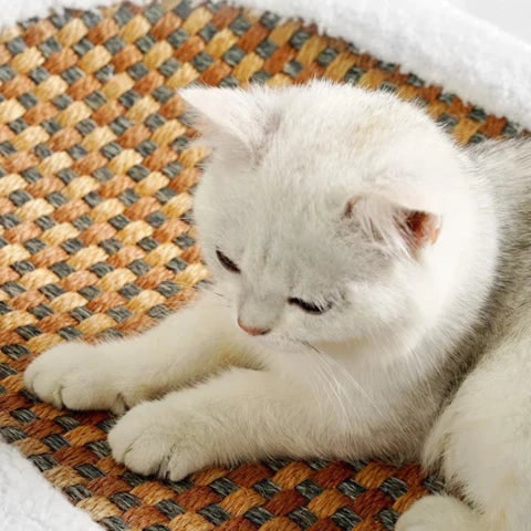 Cat Scratcher Bed and Couch with Plush Fleece Bolster and Woven Mat Cave - Image 2