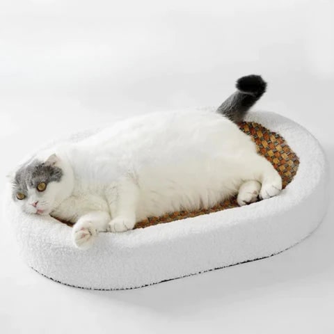 Cat Scratcher Bed and Couch with Plush Fleece Bolster and Woven Mat Cave - Image 3
