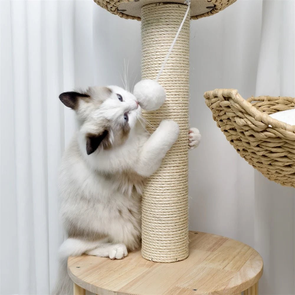 Cat Tree and Condo Tower with Sisal Scratching Posts and Woven Baskets Floor To Ceiling - Image 5
