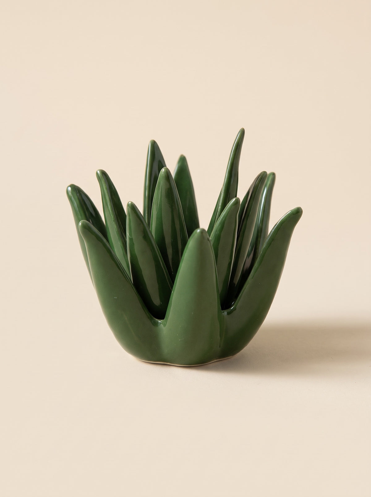 The Botanical Jewellery Dish