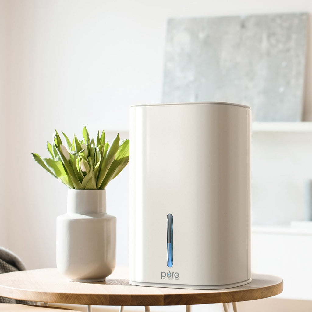 Dehumidifier for Mold Basement Crawl Space and Bathroom with Portable Water Tank - Image 1