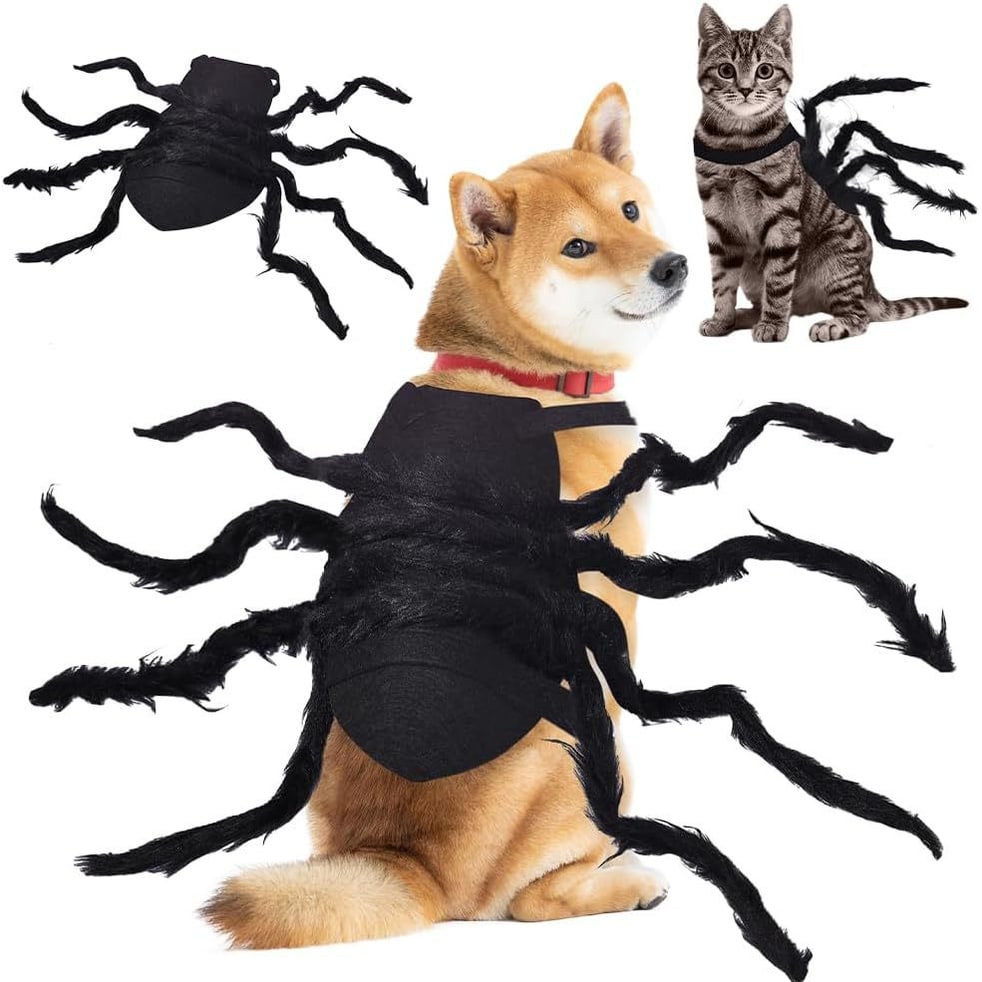 Dog Cat Spider Costume with Bendable Fuzzy Legs Adjustable Straps for Halloween Pet - Image 1