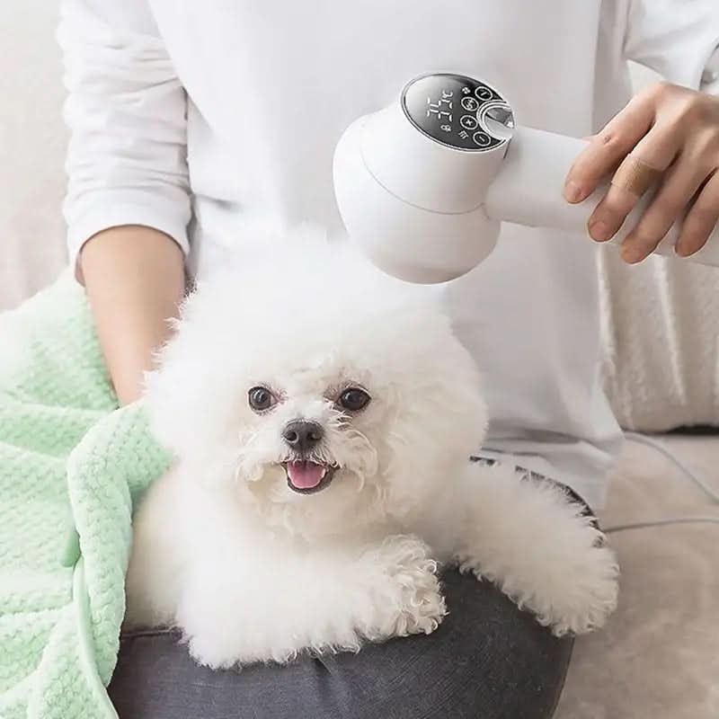 Dog Hair Dryer Blow Handheld Pet Grooming Digital Display Brush Cat - Image 3