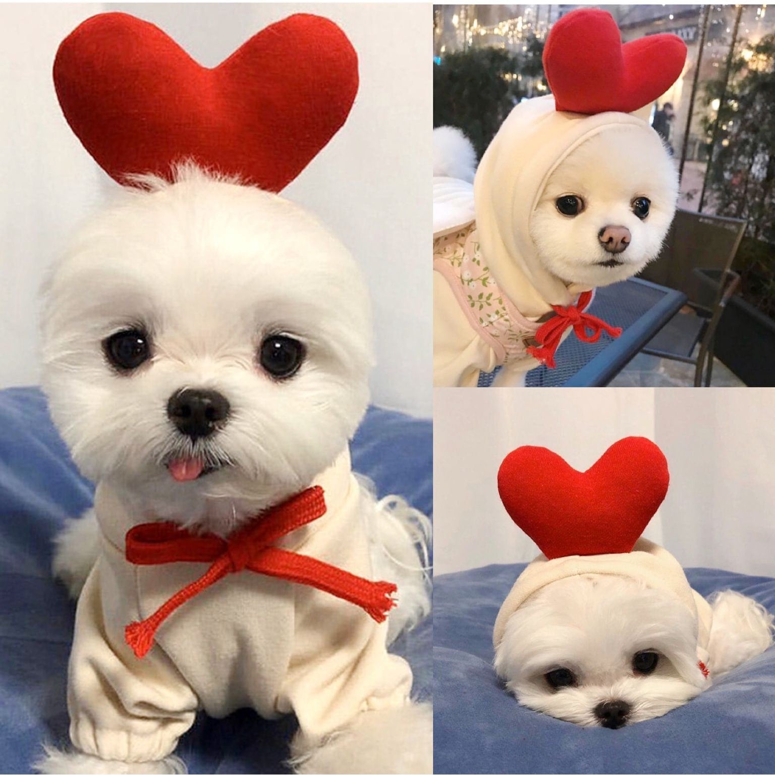 Dog Halloween Costumes and Outfits with 3D Novelty Hood Soft Fleece Hoodie for Small Rain Gear - Image 1