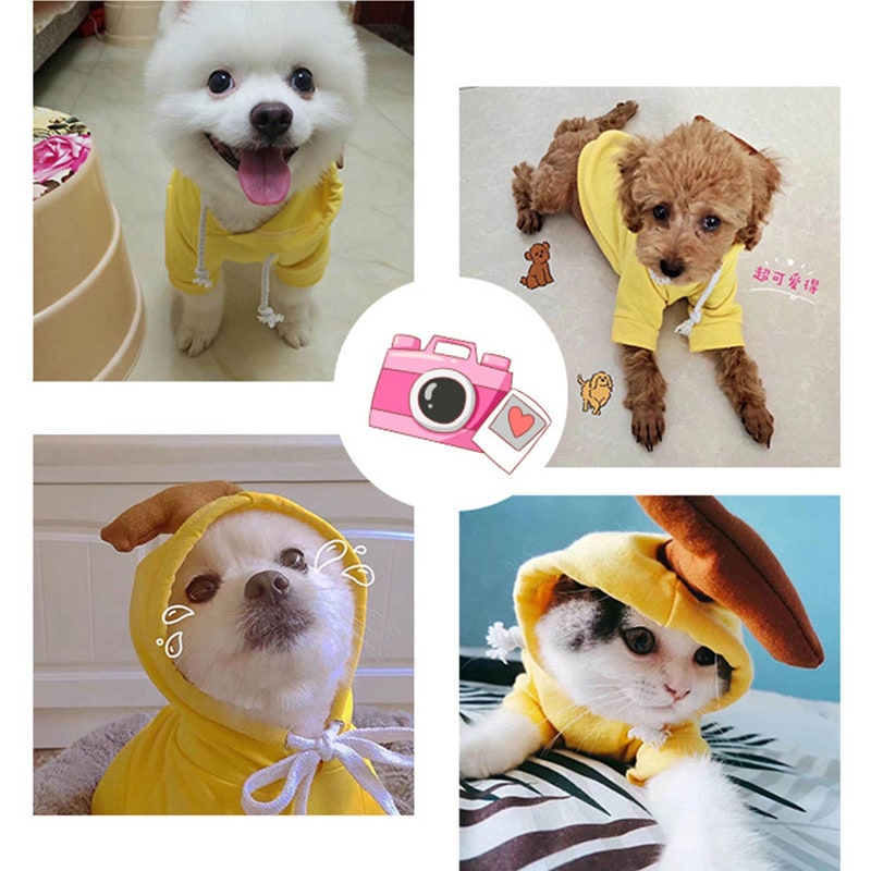 Dog Halloween Costumes and Outfits with 3D Novelty Hood Soft Fleece Hoodie for Small Rain Gear - Image 12