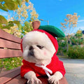 Dog Halloween Costumes and Outfits with 3D Novelty Hood Soft Fleece Hoodie for Small Rain Gear - Image 14