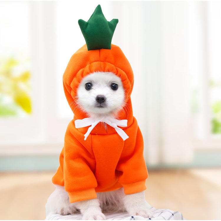 Dog Halloween Costumes and Outfits with 3D Novelty Hood Soft Fleece Hoodie for Small Rain Gear - Image 8