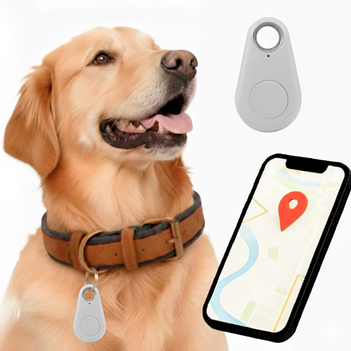Dog Trackers with GPS and Bluetooth App Water-Resistant Pet with Keyring - Image 13