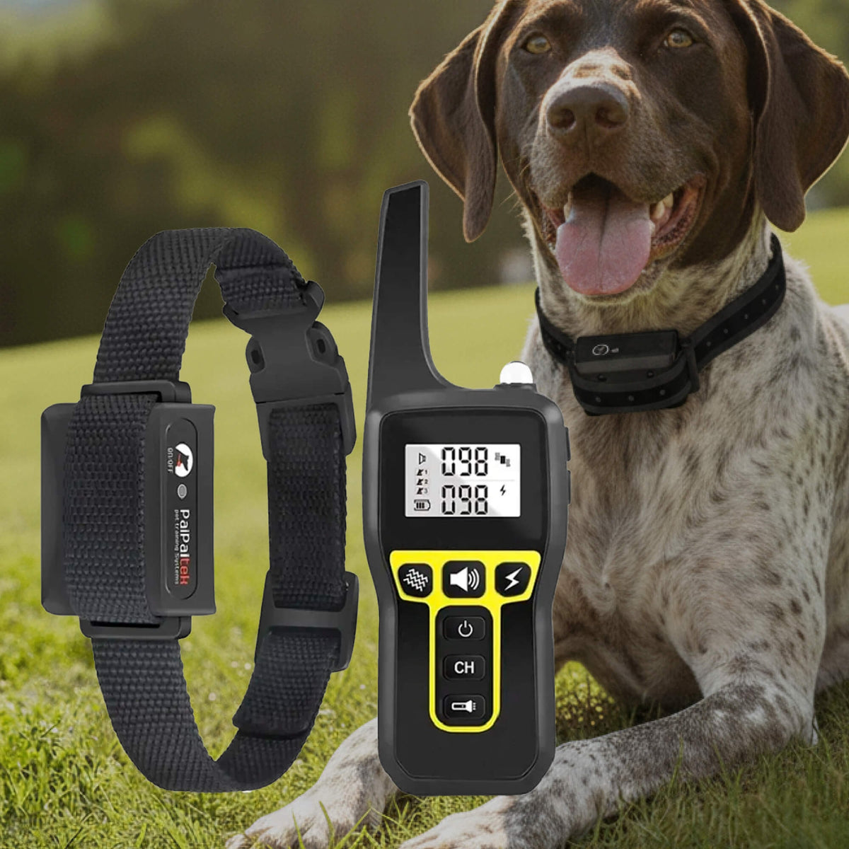 Dog Training Collar Waterproof with Remote Control and Shock Modes - Image 12