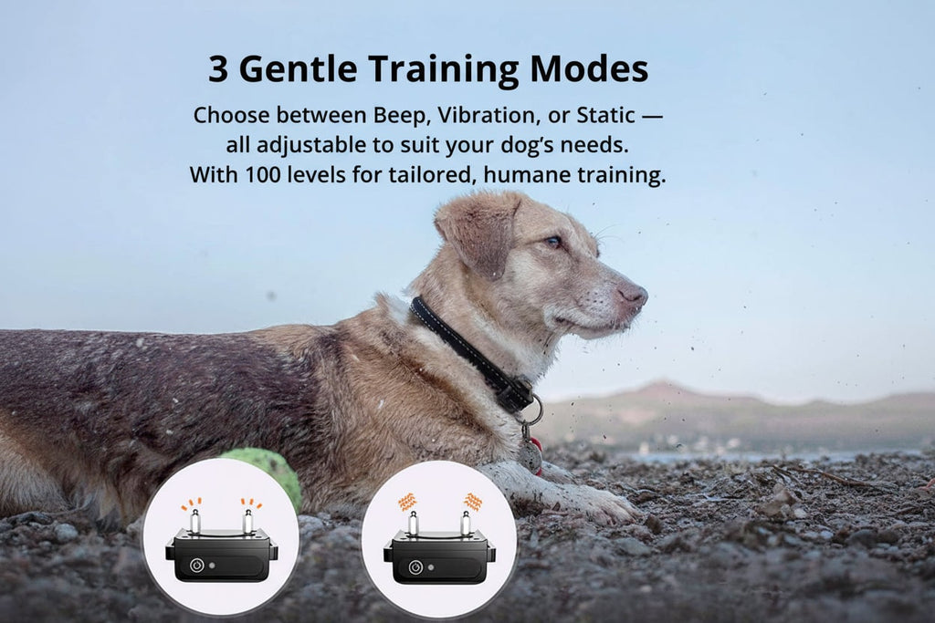 Dog Training Collar Waterproof with Remote Control and Shock Modes - Image 2