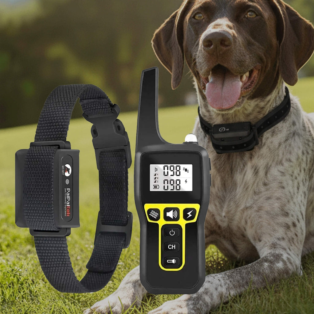 Dog Training Collar with Remote Control Waterproof Shock with 3 Modes and Long-Range - Image 12