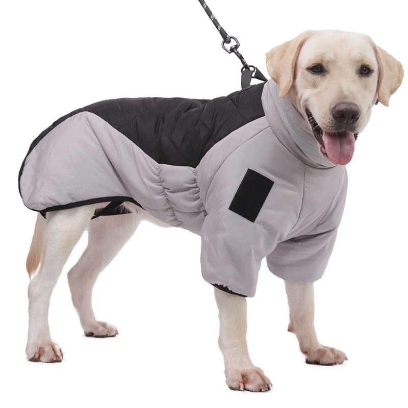 Dog Winter Coat Jacket with Warm Padded Puffer and Reflective Safety Stripe - Image 6