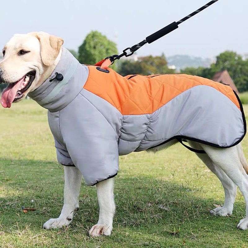 Dog Winter Coat Jacket with Warm Padded Puffer and Reflective Safety Stripe - Image 8