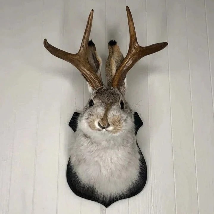 Faux Taxidermy Jackalope Head Wall Mount Plaque with Antlers - Image 1