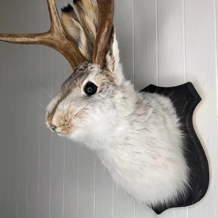 Faux Taxidermy Jackalope Head Wall Mount Plaque with Antlers - Image 2
