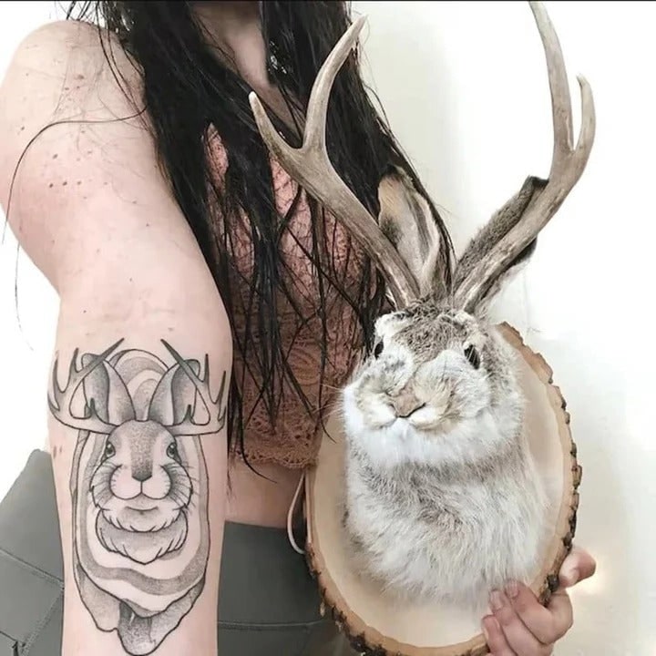 Faux Taxidermy Jackalope Head Wall Mount Plaque with Antlers - Image 3