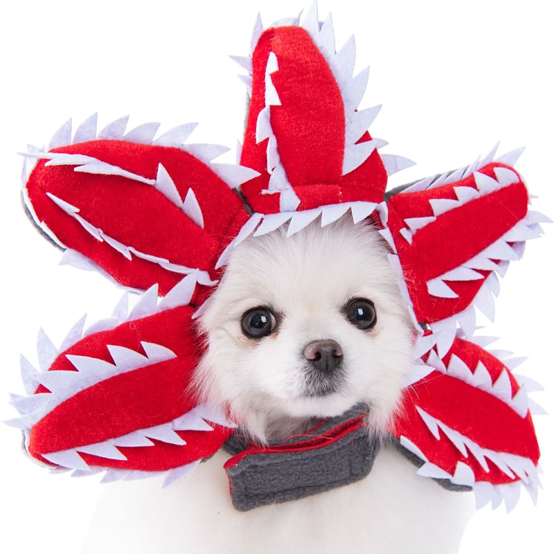 Halloween Dog Costume Funny Novelty with Hooded Design and Step-In Style for Small Human - Image 1