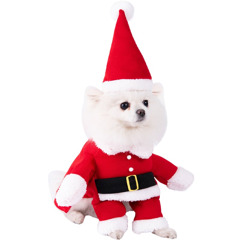 Halloween Dog Costume Funny Novelty with Hooded Design and Step-In Style for Small Human - Image 20