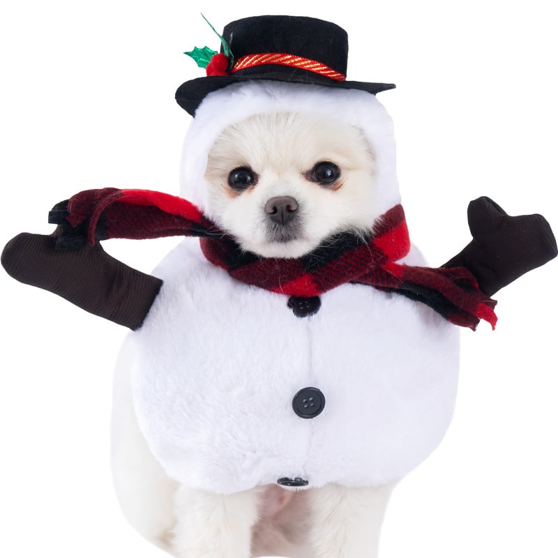 Halloween Dog Costume Funny Novelty with Hooded Design and Step-In Style for Small Human - Image 22
