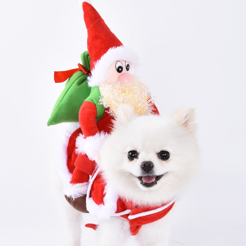Halloween Dog Costume Funny Novelty with Hooded Design and Step-In Style for Small Human - Image 3