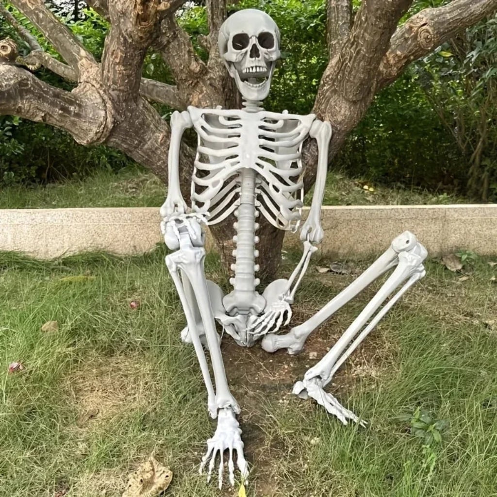 Halloween Skeleton Decoration Life-Size Poseable with Movable Jaw and Detachable Head - Image 2