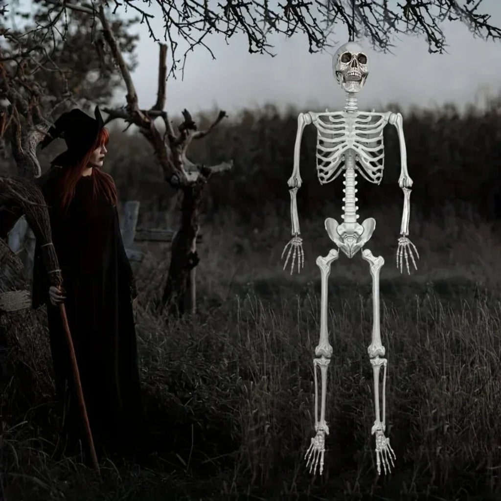 Halloween Skeleton Decoration Life-Size Poseable with Movable Jaw and Detachable Head - Image 3