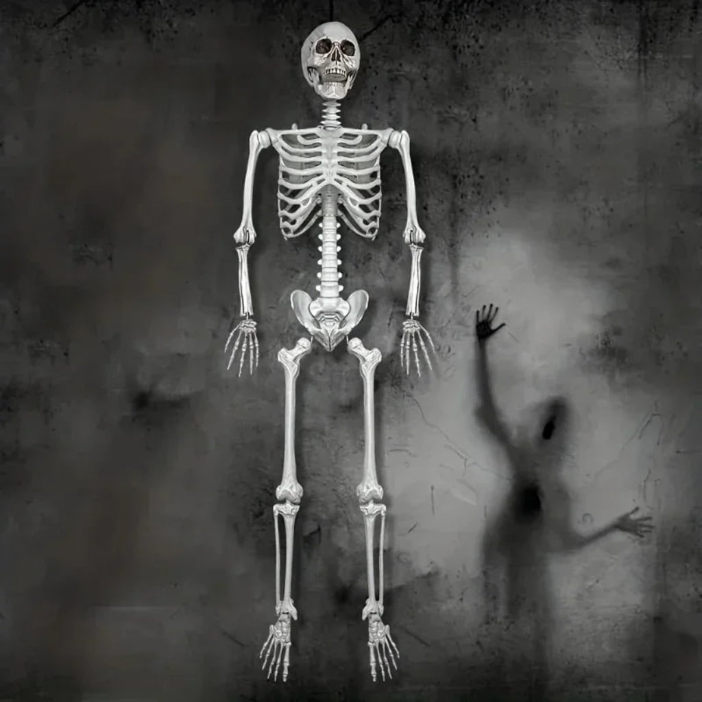 Halloween Skeleton Decoration Life-Size Poseable with Movable Jaw and Detachable Head - Image 4