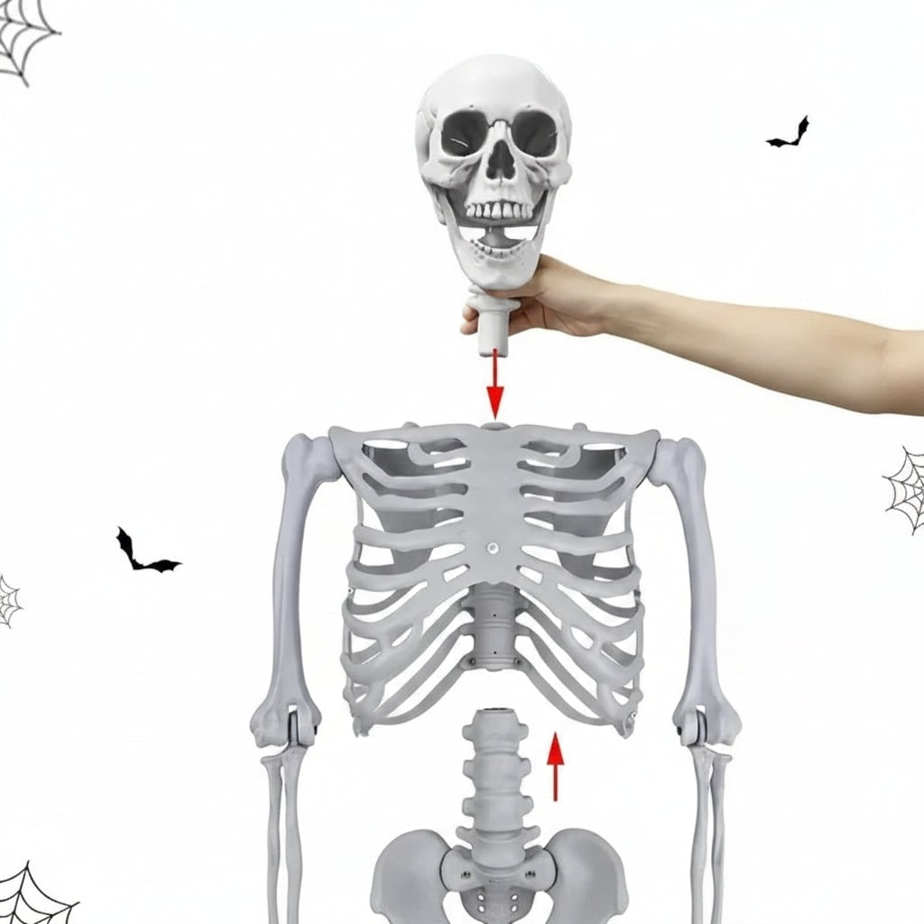 Halloween Skeleton Decoration Life-Size Poseable with Movable Jaw and Detachable Head - Image 5