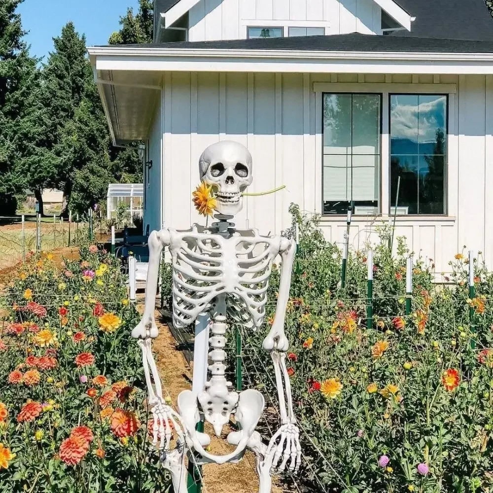 Halloween Skeleton Decoration Poseable Articulated Full Body Outdoor Decor with Movable Joints - Image 1