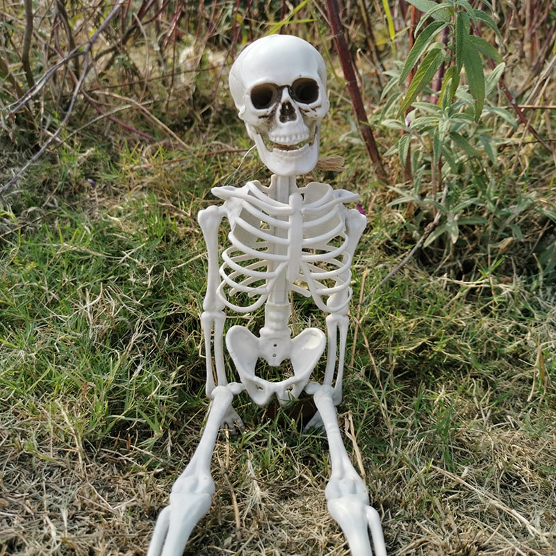 Halloween Skeleton Decoration with Posable Joints and Movable Jaw 12 Foot Tall - Image 1