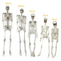 Halloween Skeleton Decoration with Posable Joints and Movable Jaw 12 Foot Tall - Image 3