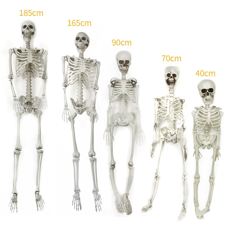 Halloween Skeleton Decoration with Posable Joints and Movable Jaw 12 Foot Tall - Image 3