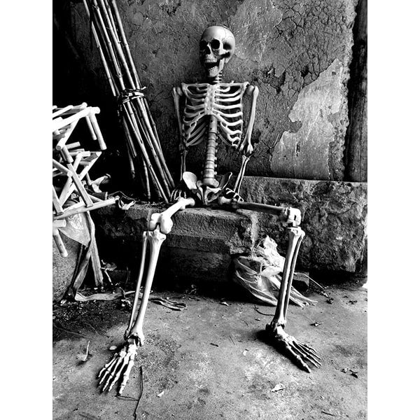 Halloween Skeleton Decoration with Posable Joints and Movable Jaw 12 Foot Tall - Image 4
