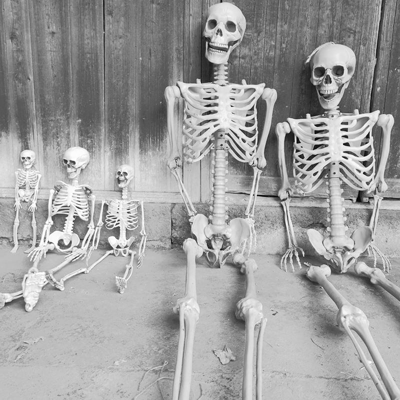 Halloween Skeleton Decoration with Posable Joints and Movable Jaw 12 Foot Tall - Image 5