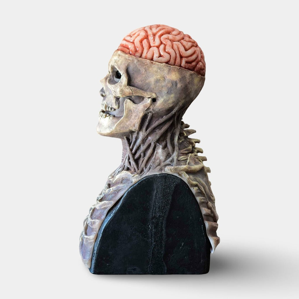 Halloween Skull Skeleton Mask with Exposed Brain and Chest Plate Creepy Latex Full Head Costume Prop - Image 3