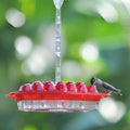 Hummingbird Feeder Hanging Saucer Plastic Outdoor Perch Ports - Image 1