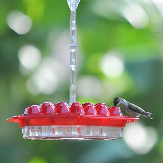 Hummingbird Feeder Hanging Saucer Plastic Outdoor Perch Ports - Image 1