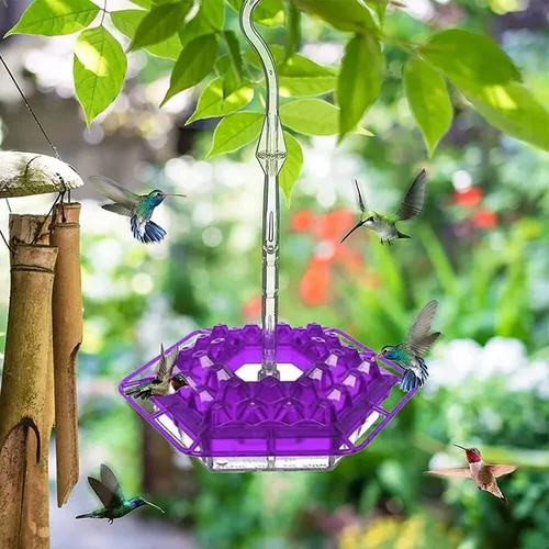 Hummingbird Feeder Hanging Saucer Plastic Outdoor Perch Ports - Image 5